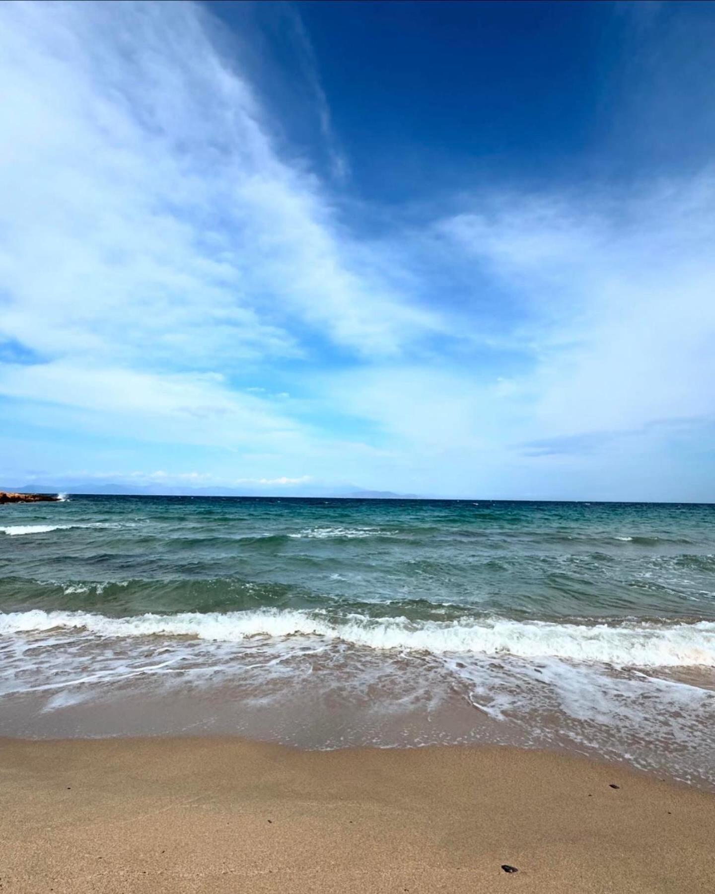 Secret Garden Airport-beach 300m From Famous Davis *