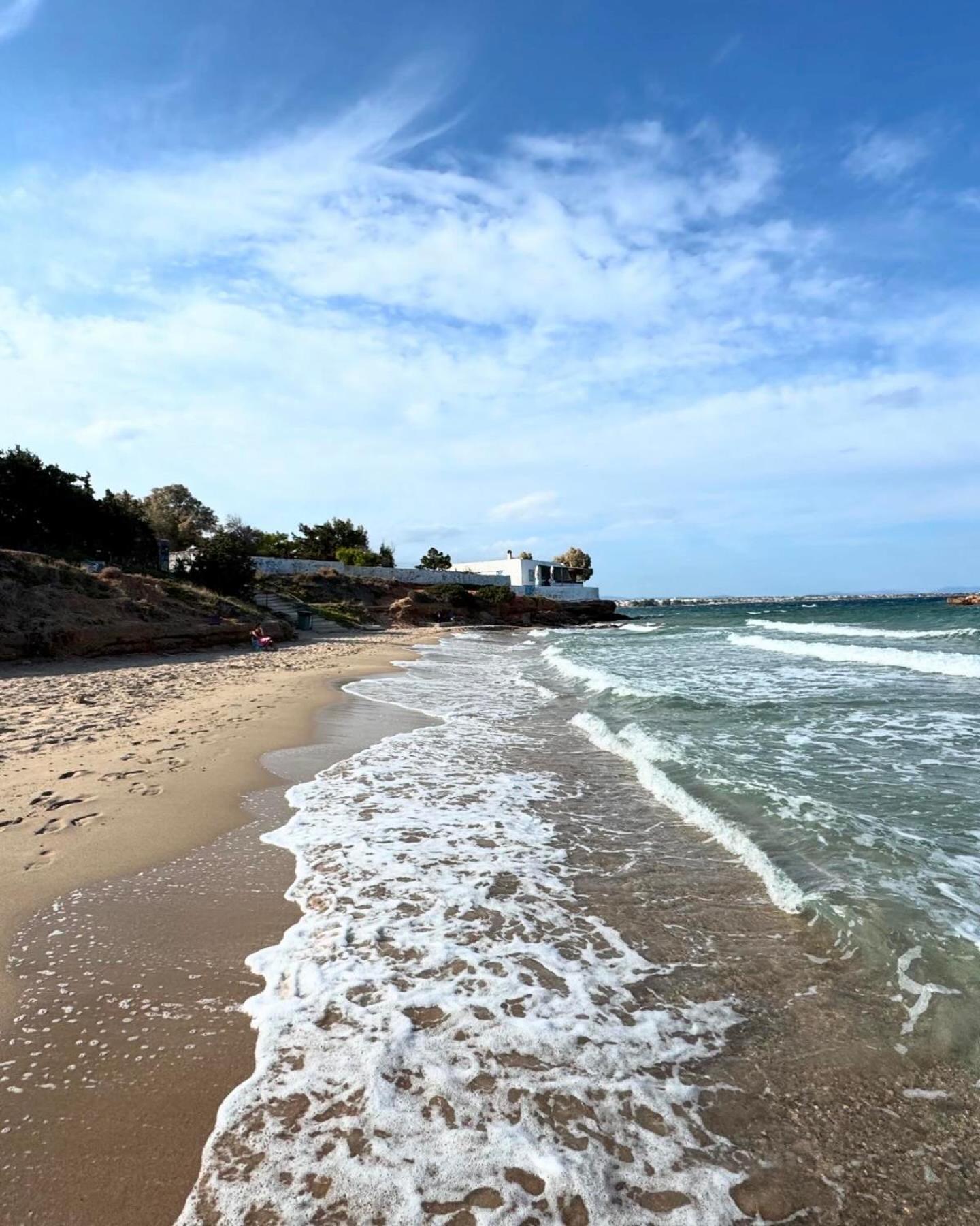 Apartment Secret Garden Airport-beach 300m From Famous Davis